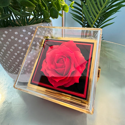 I'm So Sorry.. Heart Necklace in Rose Box